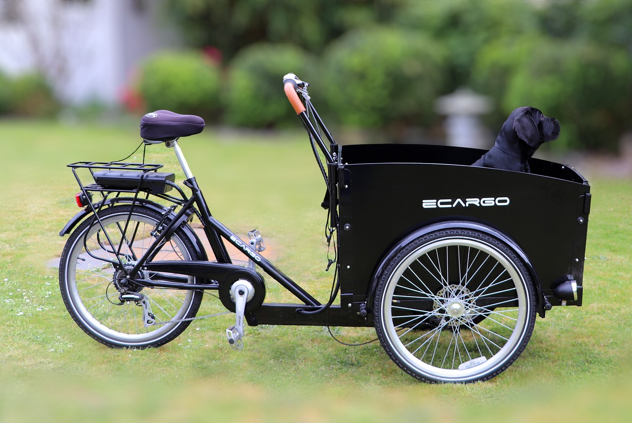 How to Customize and Personalize Your Cargo E-Bike to Suit Your Style